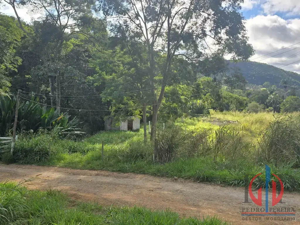 Terreno 3.221m² para venda no bairro Flores da derrubada