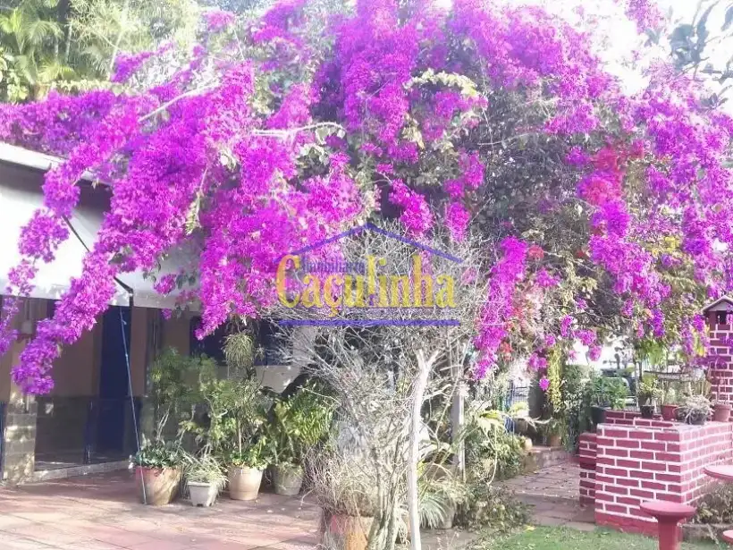 Sítio 15m² para venda no bairro Barão