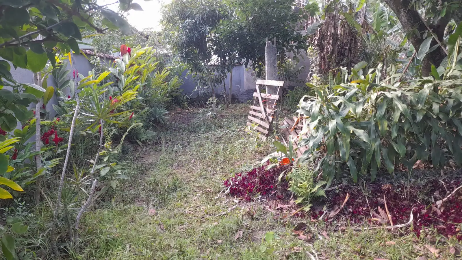 Terreno para venda no bairro Santa Cruz