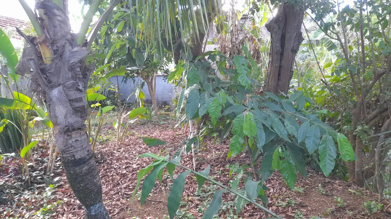 Terreno para venda no bairro Santa Cruz