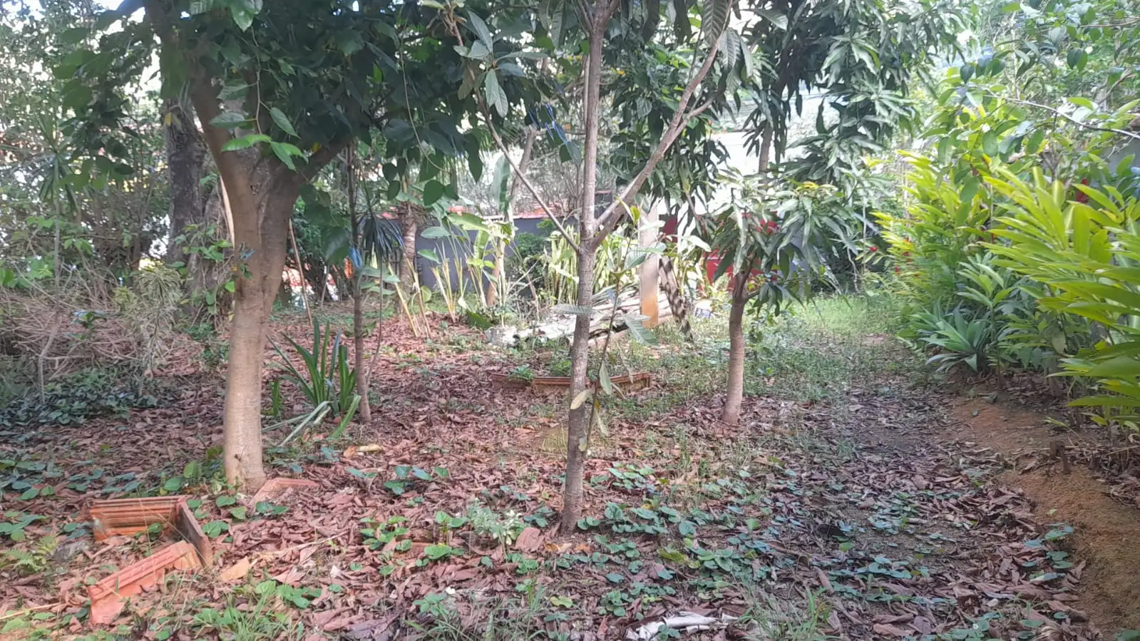 Terreno para venda no bairro Santa Cruz