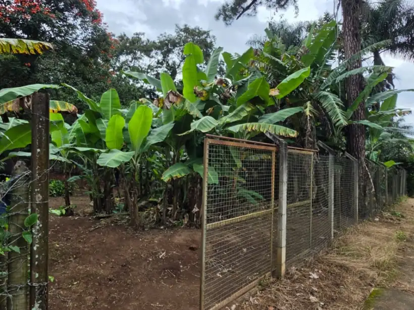 Terreno 1.500m² para venda no bairro Osório