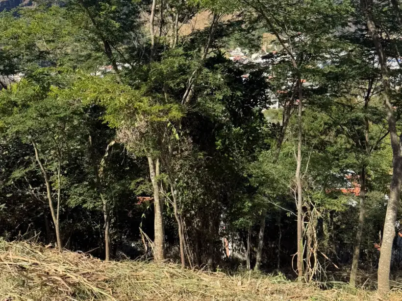 Tabet Corretora de Imóveis