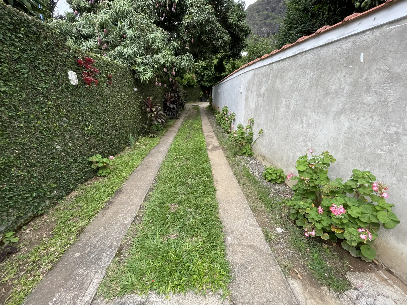 Casa 4 quartos para venda no bairro Centro