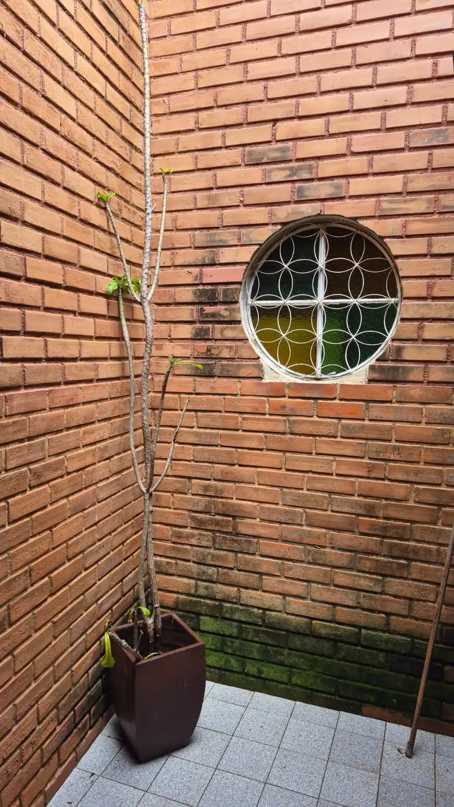 Casa para  vender perto do quartel