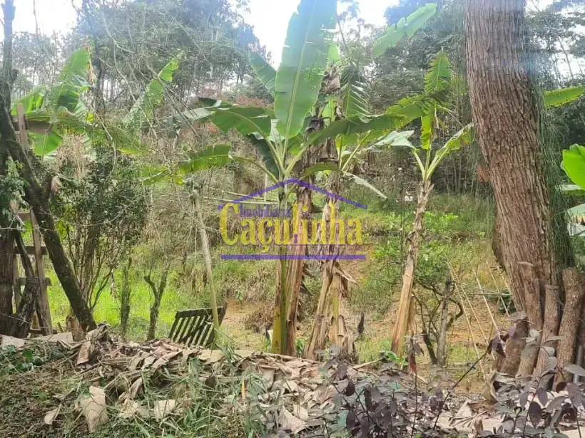 Imobiliária Caçulinha