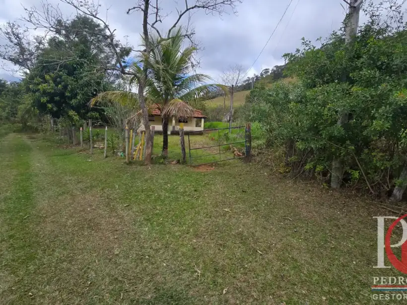 Pedro Pereira