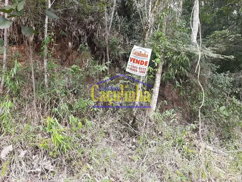 Imobiliária Caçulinha