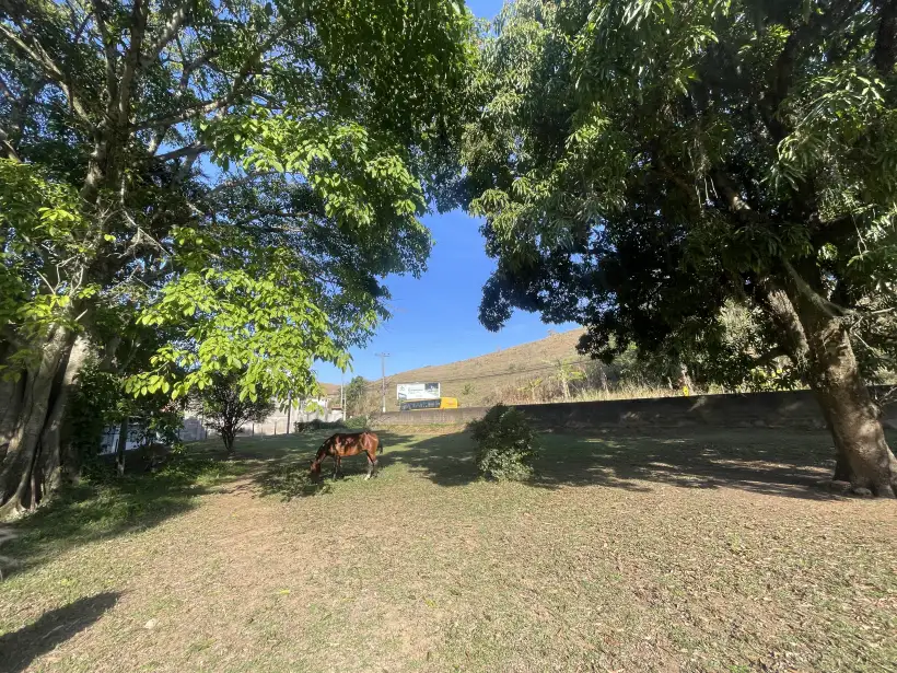 Terreno 8.170m² para venda no bairro Chacrinha