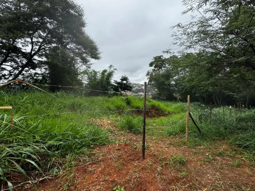 Terreno 352m² para venda no bairro Laranjeiras