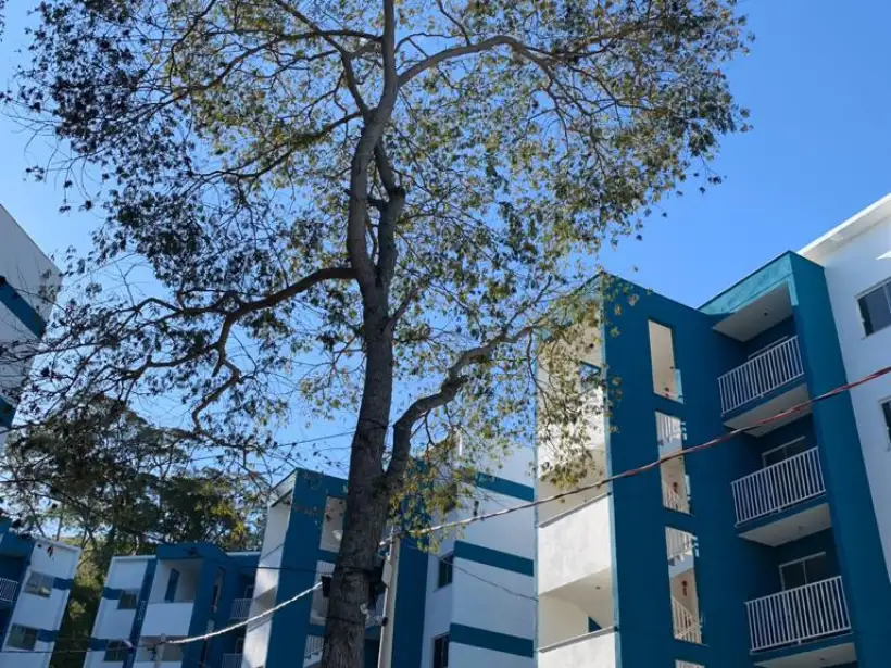 Apartamento 2 Quartos para locação no bairro Benfica